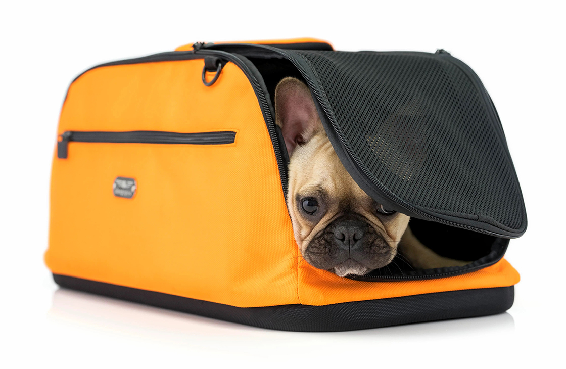 Как выбрать переноску для собак и кошек