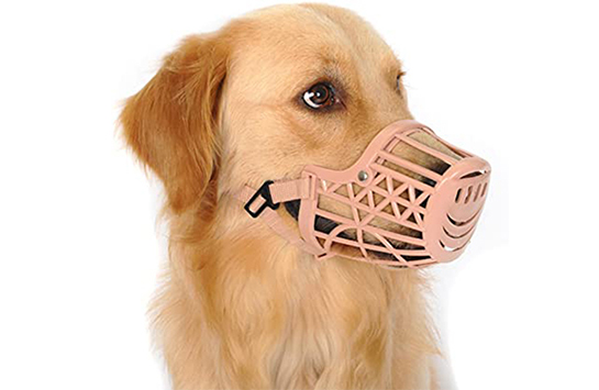 Пластиковый намордник