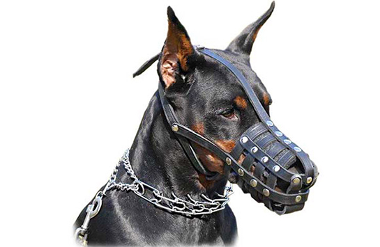 Кожаный намордник