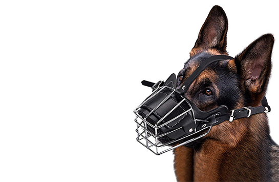 Металлический намордник сетка