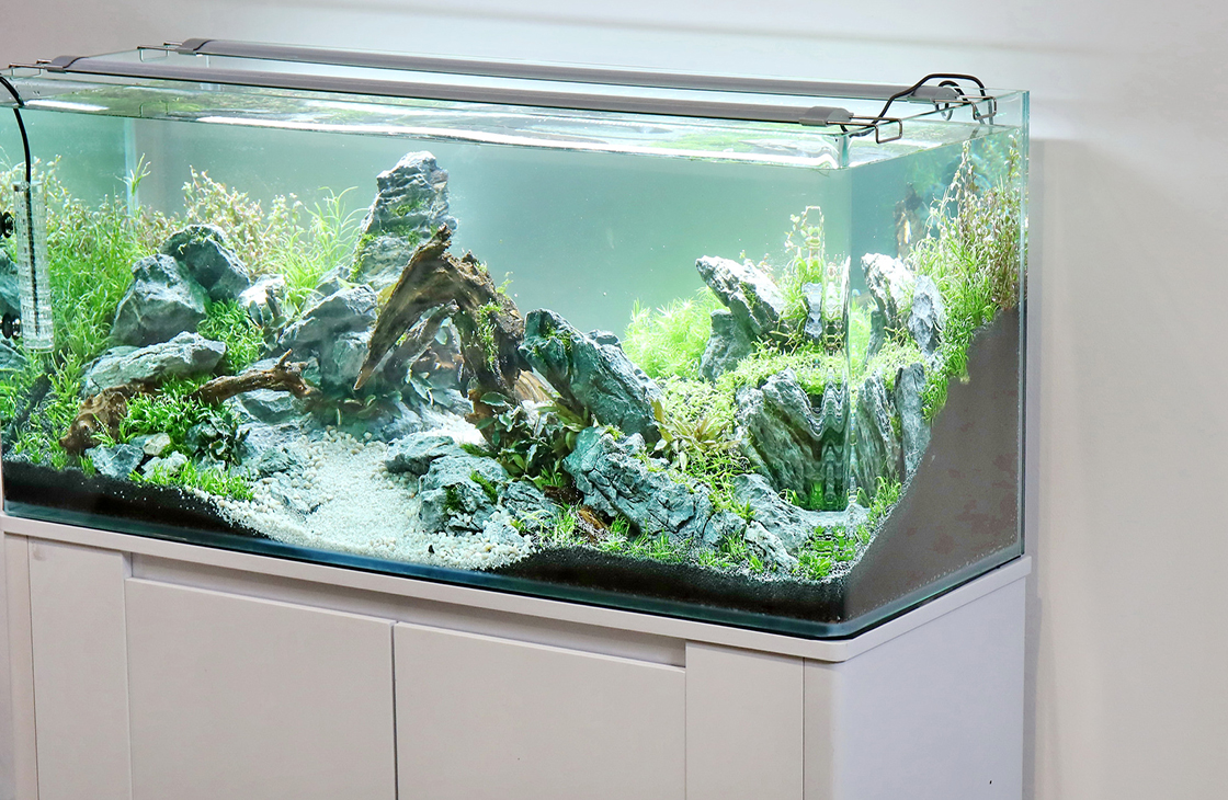 Как выбрать форму и размер резервуара