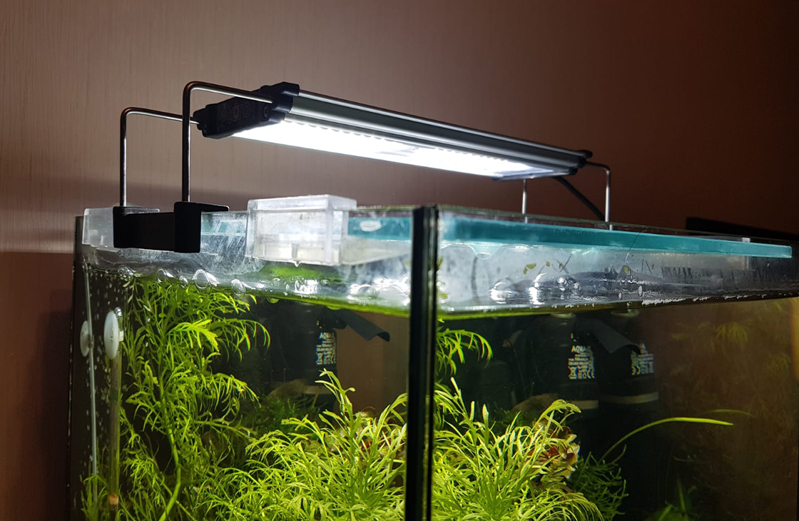 Освещение аквариума