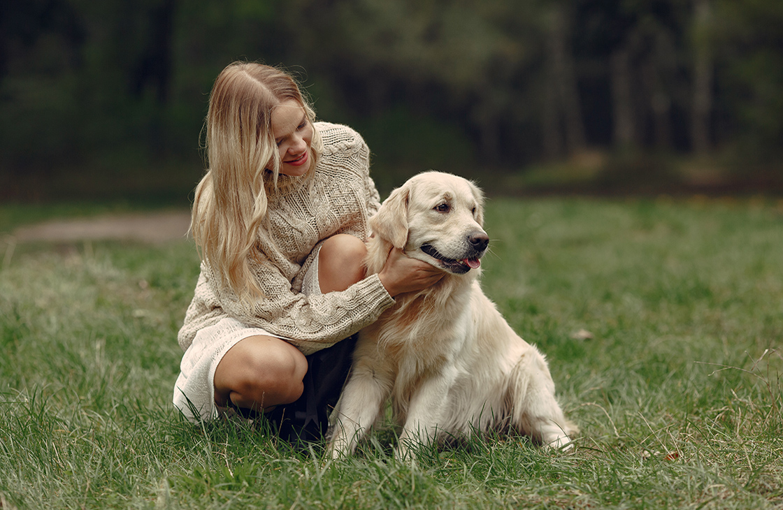 Достать клеща у собаки