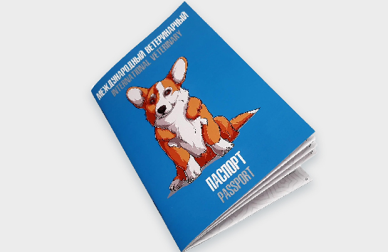 Ветеринарный паспорт для собаки