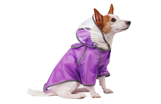 Дождевик для собаки