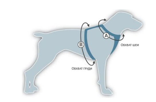 Как подобрать шлейку